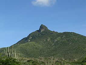 Cerro Santa Ana - Estado Flacón.JPG