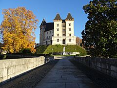 Château de Pau depuis jardin