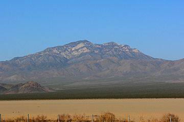 Clark Mountain from Ivanpah Dry Lake 1.jpg