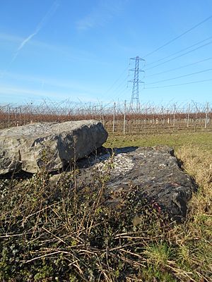 Coffin Stone, Blue Bell Hill, Kent 03