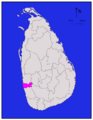 Colombo district