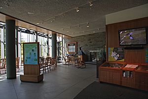 Cornell Lab of Ornithology interior