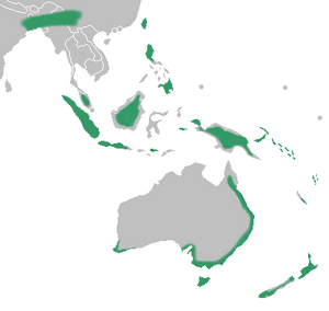 Corybas distribution map.png