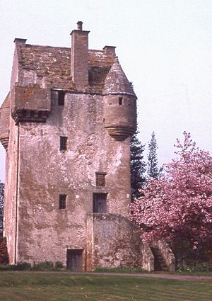 Coxton Tower - geograph.org.uk - 8852.jpg