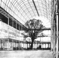 Crystal Palace Great Exhibition tree 1851