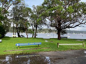 Currawong Avenue Reserve