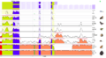 ECR browser showing conserved OTX2 gene in vertebrates