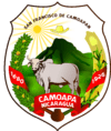 Coat of arms of Camoapa