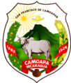 Escudo de Camoapa