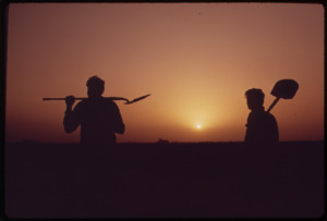 FARM WORKERS SHOULDER TOOLS AT END OF DAY NEAR RIPLEY, IN THE FERTILE PALO VERDE VALLEY OF THE LOWER COLORADO RIVER... - NARA - 547716