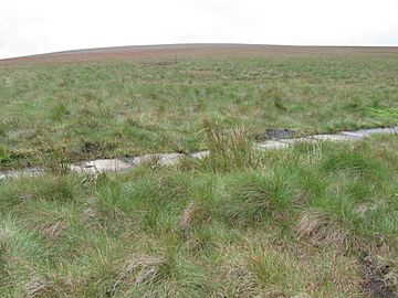 Featherbed Moss towards Featherbed Top - geograph.org.uk - 944625.jpg