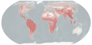Felid Distribution.png