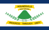 Flag of Moundsville, West Virginia