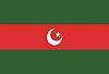 Flag of Pakistan Tehreek-e-Insaf Parliamentarians.jpg