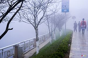 Fog in Tây Bắc