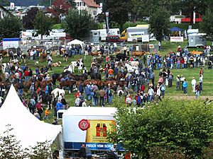 Foire de Chaindon 2007 - Champ de foire