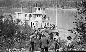 Gathering fuel for the steamship Grenfell on the Peace River