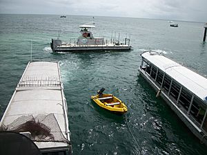 Glass bottom boats & Semi sub