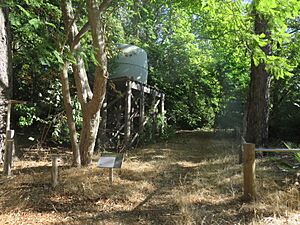 Hamel Nursery, December 2020 01