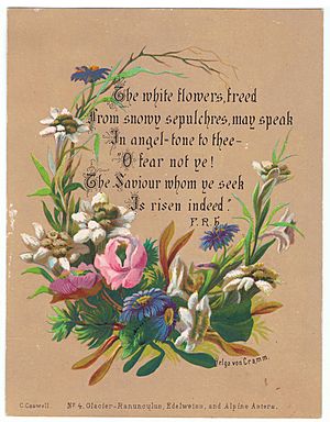 Helga von Cramm. C. Caswell. No. 4. Glacier Ranunculus, Edelweiss, and Alpine Asters. Chromolithograph. With hymn by F.R.Havergal, c.1870