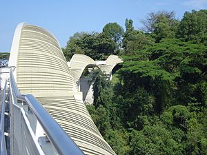 Henderson Waves