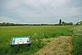 Hunsdon Mead - geograph.org.uk - 1317172