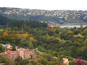 Knox and Dunedin Botanic Gardens