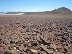 Macroscelides micus study site in eastern Goboboseb Mountains, northwestern Namibia