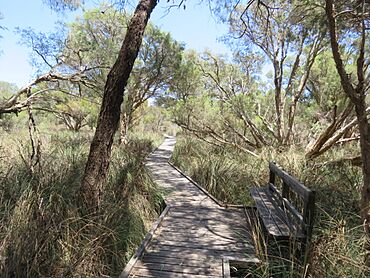 Marlee Reserve, Parklands, Western Australia, November 2023 04.jpg