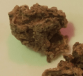Close up look of masyaura nugget