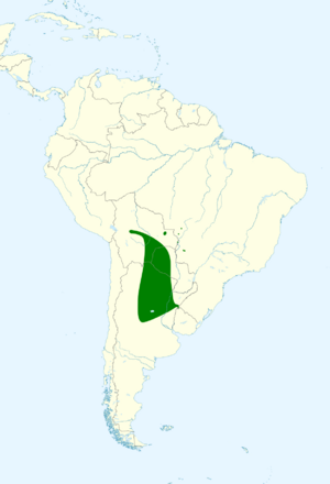 Melanerpes cactorum map.svg