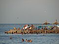Miramar playa