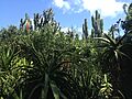 Moir Gardens