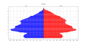 Montréal Population Pyramid (2021)