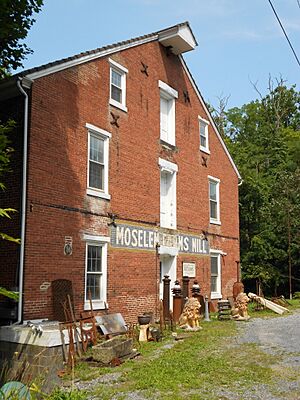 Moselem Farms Mill 1 BerksCo PA