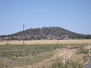 Mount Haystack Linthorpe