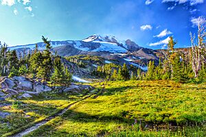 Mt. Adams from Bird Creek Meadows 01