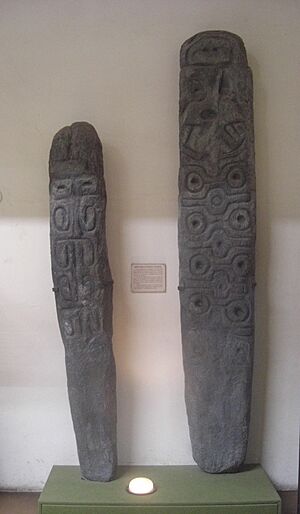 Museo LP 003