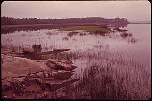 PLEASANT POINT IN MERRYMEETING BAY IN THE BRUNSWICK AREA NEA THE CONFLUENCE OF THE ANDROSCOGGIN AND KENNEBEC RIVERS - NARA - 550750