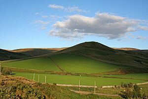 Park Law, Iron Age Settlement near Sourhope - geograph.org.uk - 552417