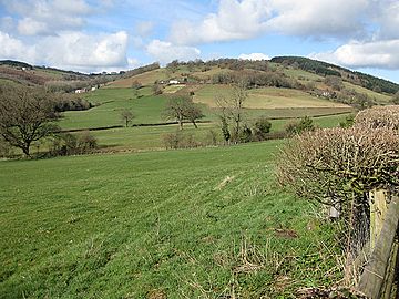 Pastures by the Black Brook - geograph.org.uk - 1190152.jpg