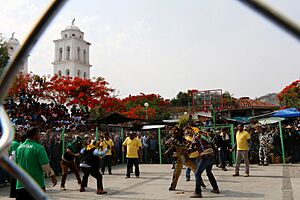 Pelea-tigres-peticion-lluvias.jpg