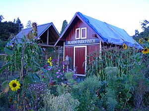 Picardo Farm 13