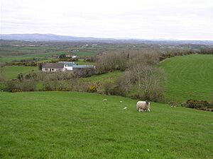 Radergan Townland - geograph.org.uk - 1232993