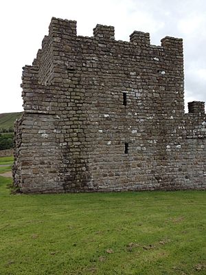 Reconstruction Turret at Vindolanda I