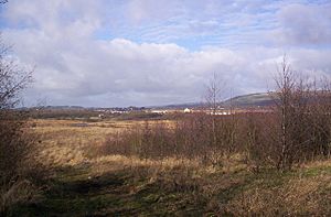 Red Moss, Horwich - geograph.org.uk - 109497