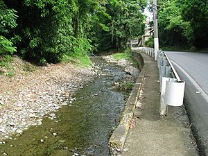 Rio Bayagan next to PR-505 in Barrio Machuelo Arriba, Ponce, PR (IMG 3797)