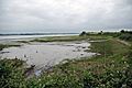 River Stour - geograph.org.uk - 1364434