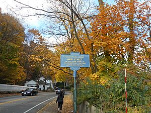 Roslyn Main Street Historic District; Historical Marker