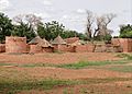 Rural Scene en Route to Dori - Sahel Region - Burkina Faso